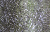 Chelmondiston fibreglass roof work